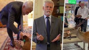 „Do pytle.“ Pavel pobavil na videu kuriózními záběry, Eva poslala zasněžený vzkaz „Do pytle.“ Pavel pobavil na videu kuriózními záběry, Eva poslala zasněžený vzkaz