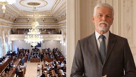 Sněmovna vyzve Pavla ke zveřejnění nákladů za dovolenou? Platil ji ze svého, tvrdí KPR