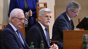 Prezident Petr Pavel v Senátu (14. 12.2023)