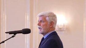 Pavel ocenil seniory, kteří se věnují dobrovolnictví či mezigenerační spolupráci.