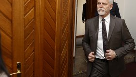 Prezident Petr Pavel