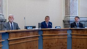 Prezident Petr Pavel na jednání vlády: Po levé ruce má premiéra Andreje Babiše a ministra zahraničí Petra Macinku. (8.6.2026)