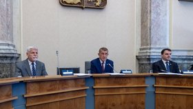 Prezident Petr Pavel na jednání vlády: Po levé ruce má premiéra Andreje Babiše a ministra zahraničí Petra Macinku. (8.6.2026)