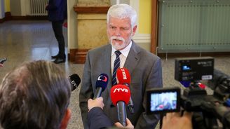 Místo na summit NATO povede Pavel českou delegaci na shromáždění Chovatelů pudlů, rozhodl Macinka Místo na summit NATO povede Pavel českou delegaci na shromáždění Chovatelů pudlů, rozhodl Macinka