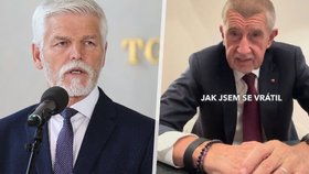 Prezident Petr Pavel kritizoval videa politiků na sítích.