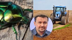 Entomolog Petr Šípek sepsul intenzivní zemědělství, podle něj může za vymírání hmyzu a zvířat v Česku.