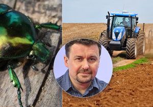 Entomolog Petr Šípek sepsul intenzivní zemědělství, podle něj může za vymírání hmyzu a zvířat v Česku.