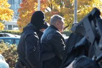 Problémy „Topolánkova“ exposlance: Uprchlíka Wolfa obvinili!