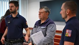 Bývalému poslanci Wolfovi včera soud za útěk napařil rok navíc.