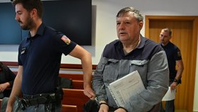 Bývalému poslanci Wolfovi včera soud za útěk napařil rok navíc.