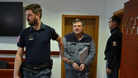 Bývalému poslanci Wolfovi včera soud za útěk napařil rok navíc.