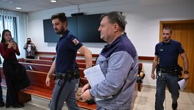Bývalému poslanci Wolfovi včera soud za útěk napařil rok navíc.