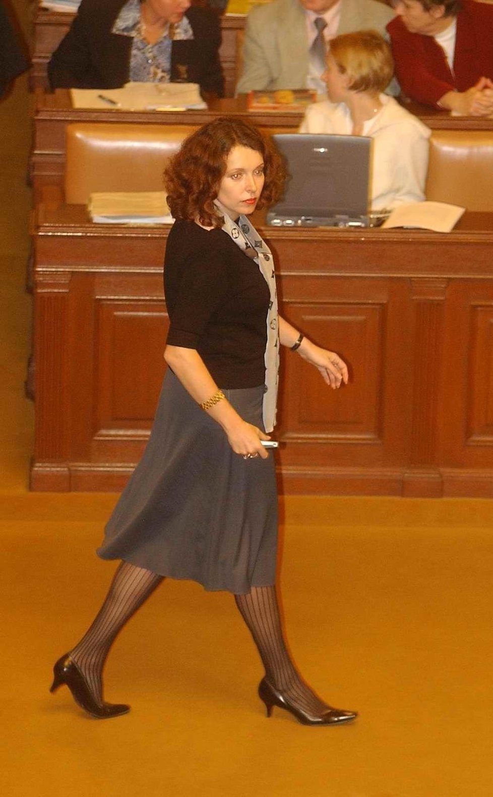 Buzková kráčí sněmovnou, rok 2003