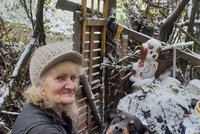 Pomoc pro milovnici zvířat Petru (65): Pro sebe, dva psy a deset koček má tři tisíce na měsíc