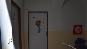 Po propuštění z vězení bydlí Petra Janáková s matkou za těmito dveřmi