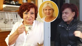 Petra Janů drsně o plastické lékařce Němečkové: Udělala ze mě hyenu skvrnitou!