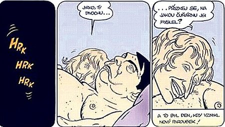 Úsek, který Paroubková považuje za pornokarikaturu