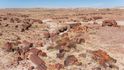 Národní park Petrified Forest