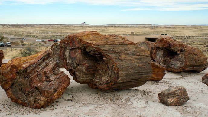 Národní park Petrified Forest