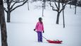Sněhovou pokrývku na pražském Petříně v době uzavřených skiareálů využili lidé k zimním sportům