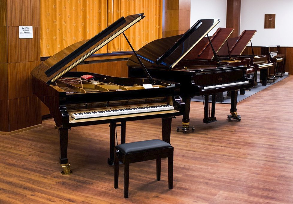 Historie klavírů Petrof se začala psát v polovině 19. století, když vyučený truhlář Antonín Petrof odešel do Vídně naučit se vyrábět klavíry.
