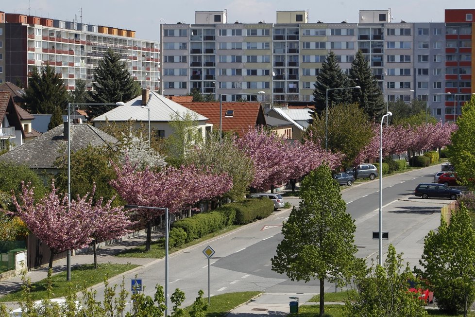 Takto Petrovice vypadají dnes. Ve 30. letech 20. století to však byla ves za Prahou.