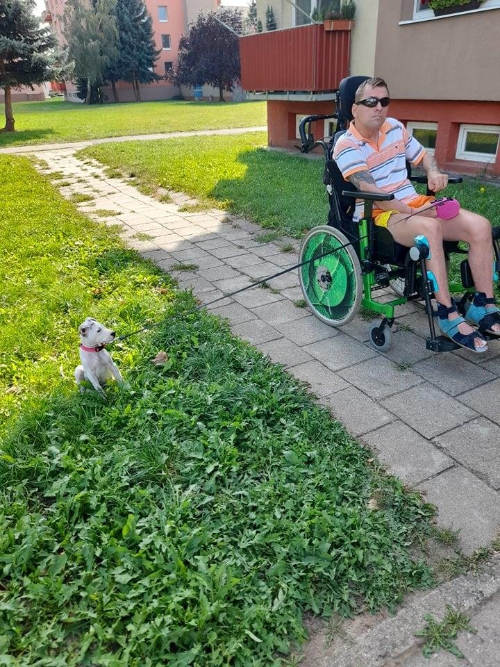 Marek Petružálek venčí na vozíku před domem ve Znojmě svého pejska.