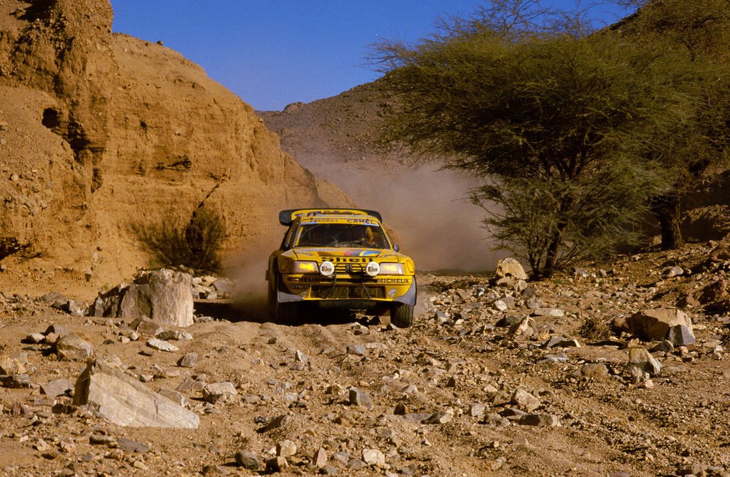 Peugeot 205 T16 Dakar (1987)