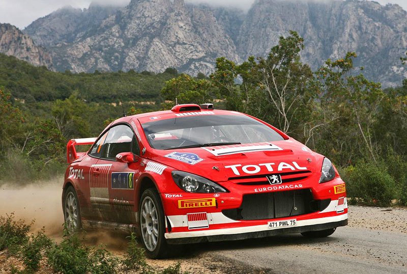 Peugeot 307 WRC (2004–2005)