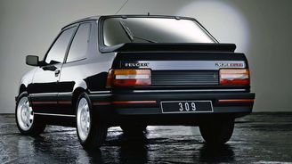 Peugeot 309 (1987) Peugeot 309 (1987)
