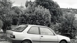 Peugeot 309 (1987) Peugeot 309 (1987)