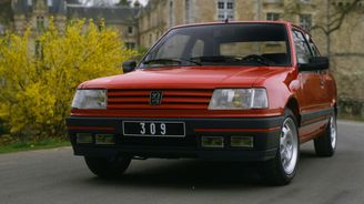Peugeot 309 (1989) Peugeot 309 (1989)