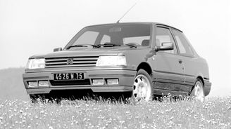 Peugeot 309 (1990) Peugeot 309 (1990)