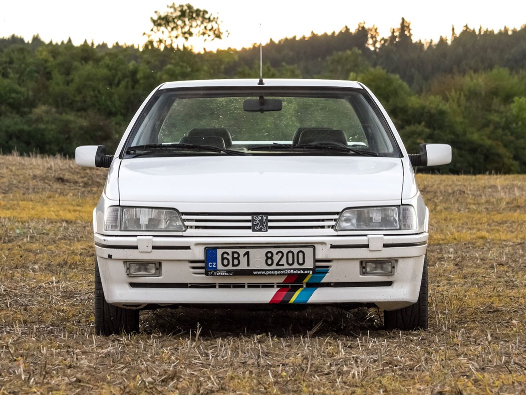 Peugeot 405