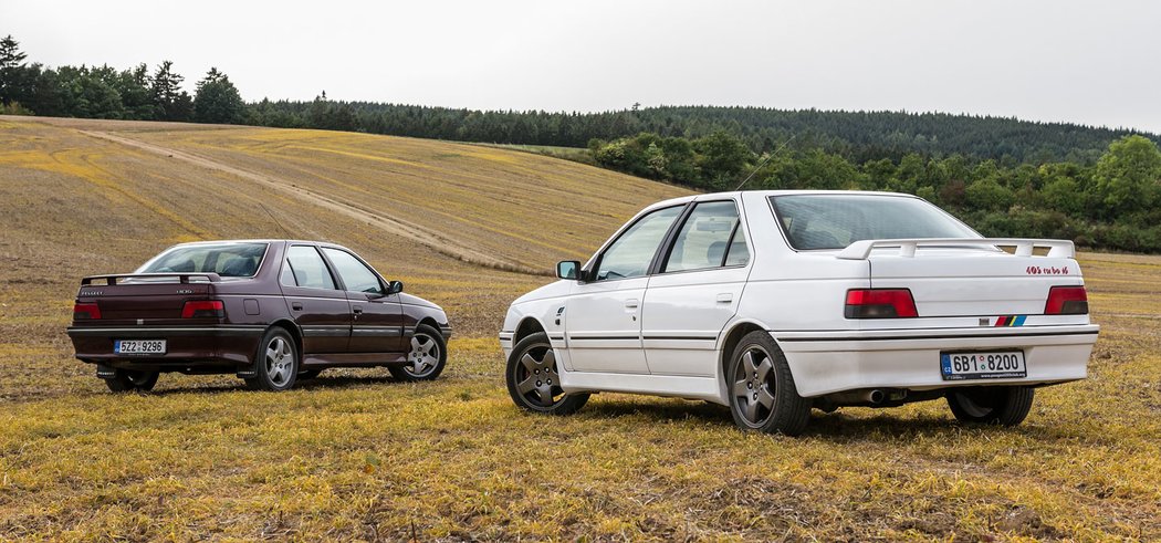 Peugeot 405