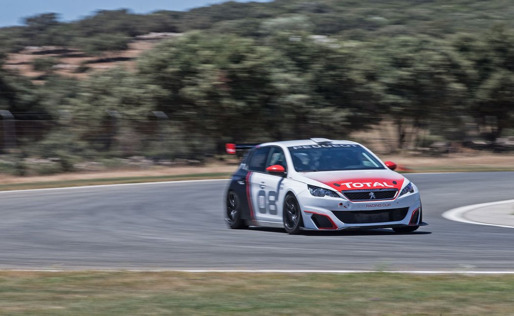 Peugeot 308 Racing Cup