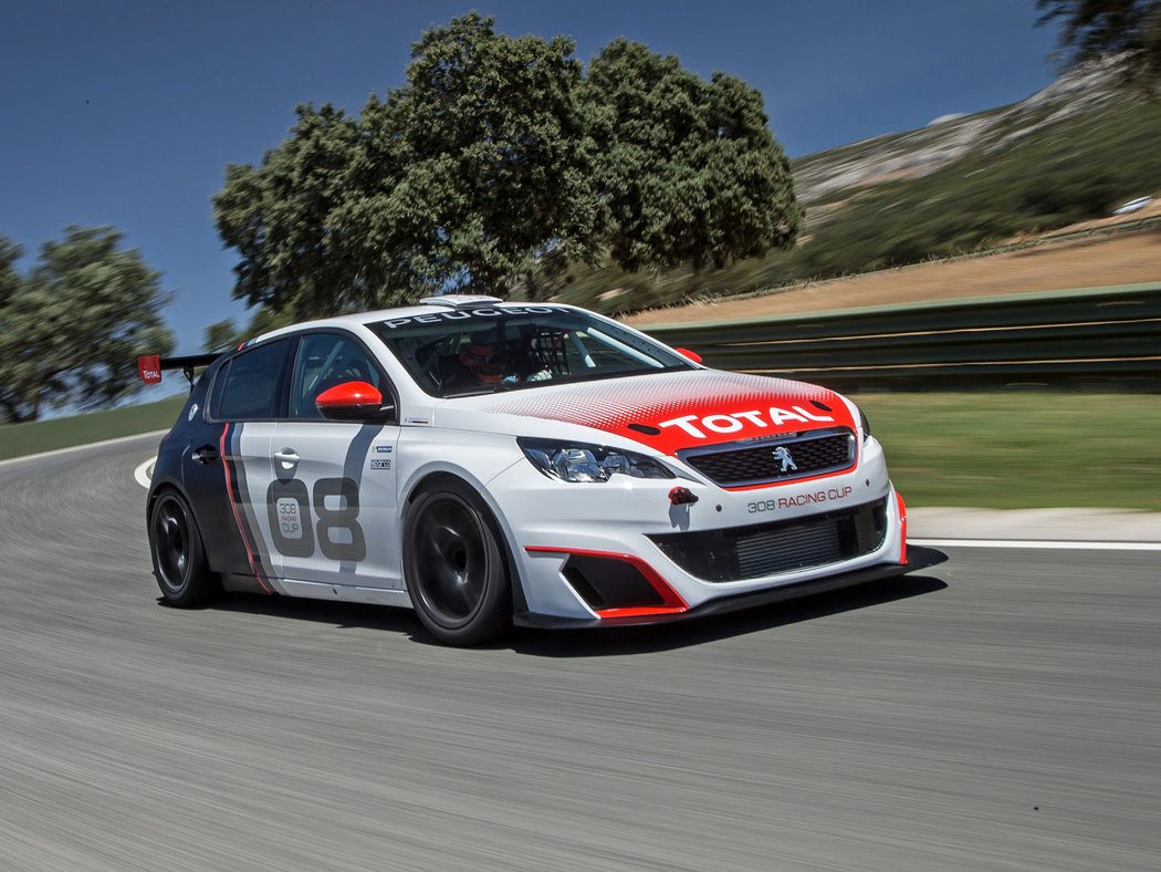 Peugeot 308 Racing Cup