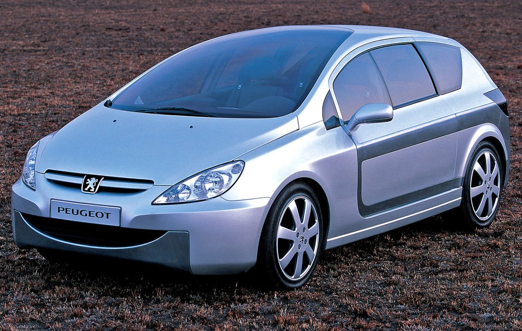 Peugeot 307