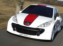 Peugeot 207 RCup: nový speciál pro soutěže
