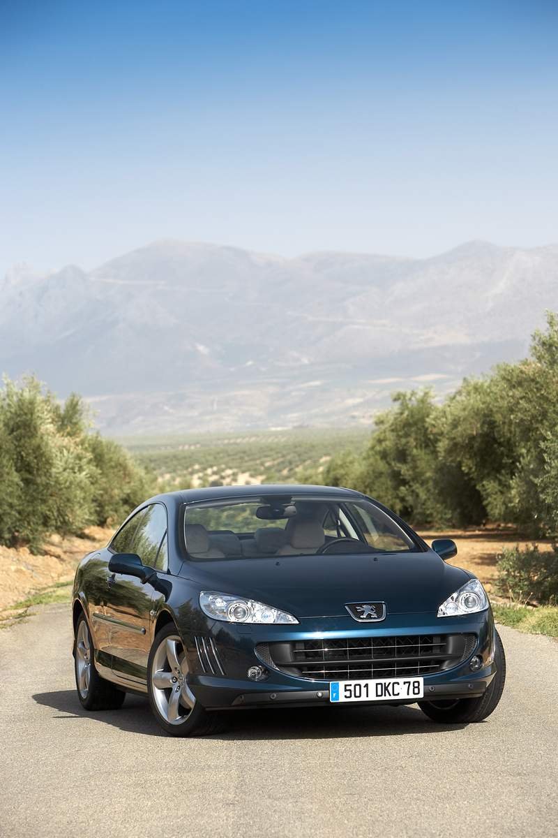 Peugeot 407