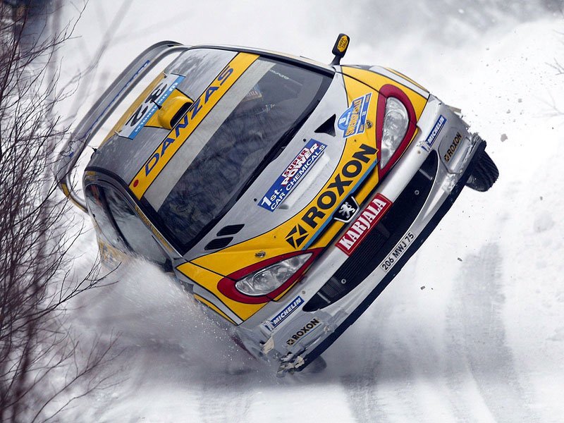 Peugeot 206 3D WRC (2003)