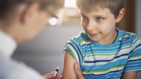 Očkování je účinná obrana proti klíšťové encefalitidě.