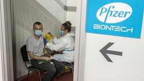 Společnosti Pfizer se finančně daří (4.5.2021)