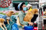 Vietnamská rodina se nakazila koronavirem a přišla o svých dvanáct psů. Zvířata bez jejich vědomí zabila policie.