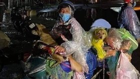 Takhle se vietnamská rodina vydala s pejsky na cestu. Zvířata dokonce měla pláštěnky.