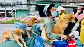 Takhle se vietnamská rodina vydala s pejsky na cestu. Zvířata dokonce měla pláštěnky.