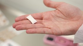 Pohled do nitra výroby nikotinových sáčků ZYN: Kutná Hora, výrobní závod firmy Philip Morris (22.5.2026)