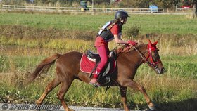 Mladá jezdkyně (18) snědla maso ze svého koně: Znechucení lidé jí na sociálních sítích vyhrožují smrtí