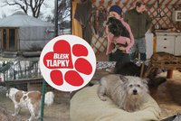 Úspěšně podnikala a teď… Byznysmenka našla štěstí v jurtě! Pečuje o psí seniory