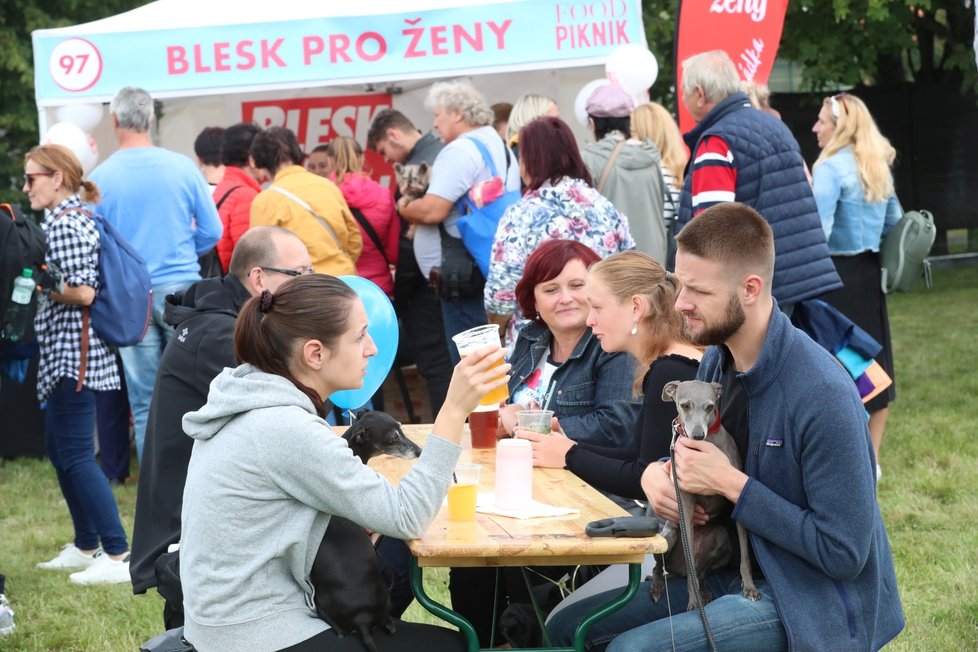 Tradiční F.O.O.D. piknik v parku Ladronka. Pro návštěvníky je k dispozici 120 stánků a food trucků, které nabízejí jídlo z různých koutů světa.